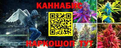 Альфа ПВП Будённовск