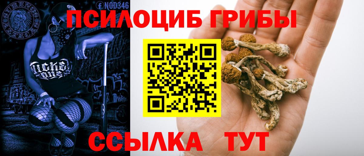 где продают   Псилоцибиновые грибы Magic Shrooms  Вход с VPN  Галлюциногенные грибы прущие грибы  Нарткала 